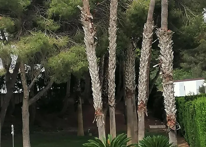 Apartament Seaview *